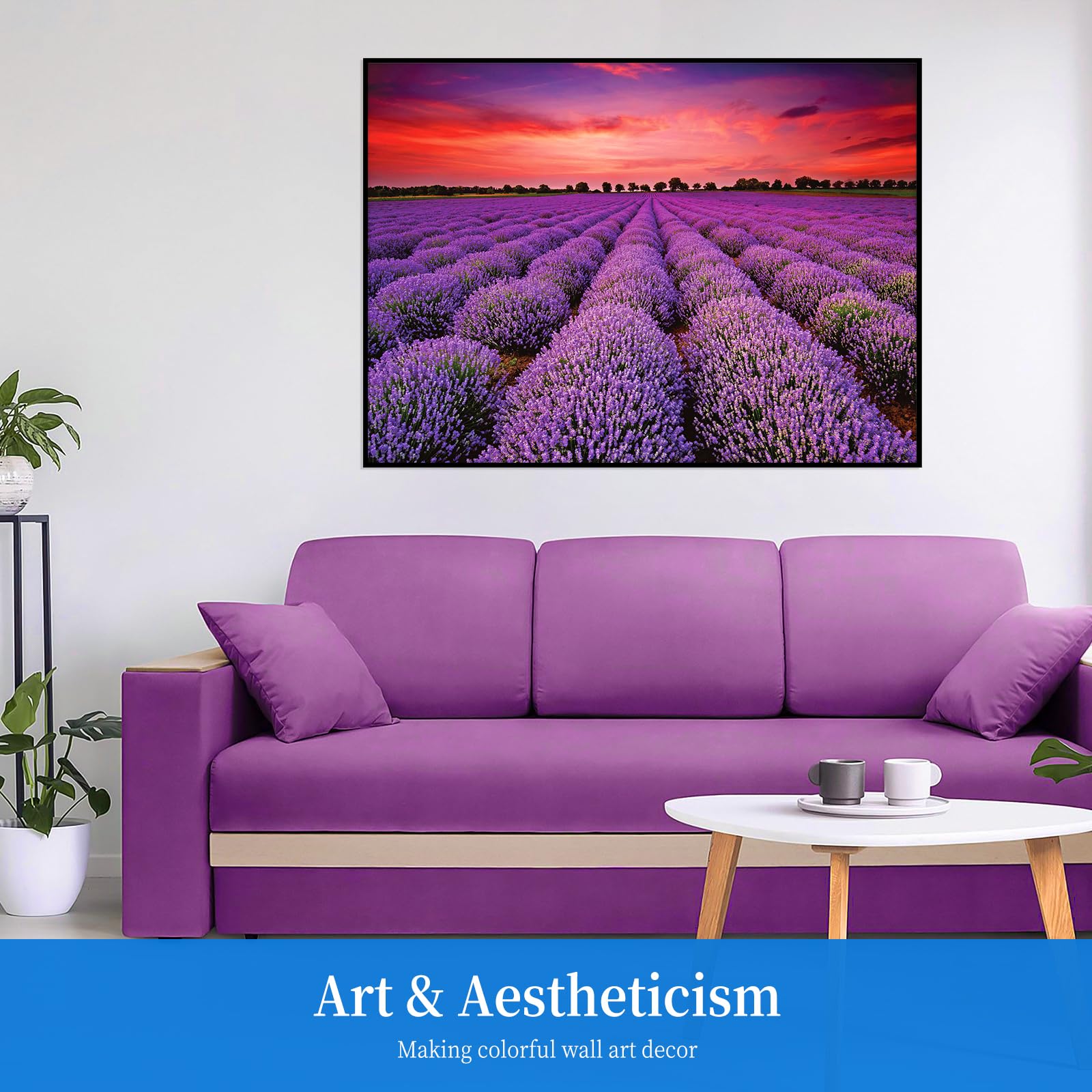 Lavender Field