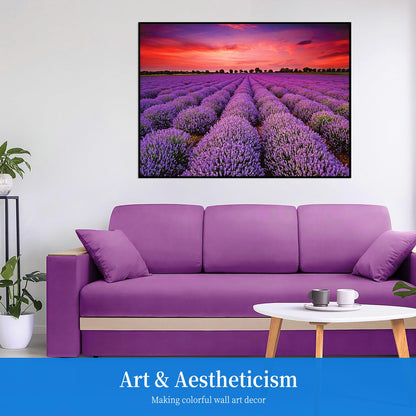 Lavender Field