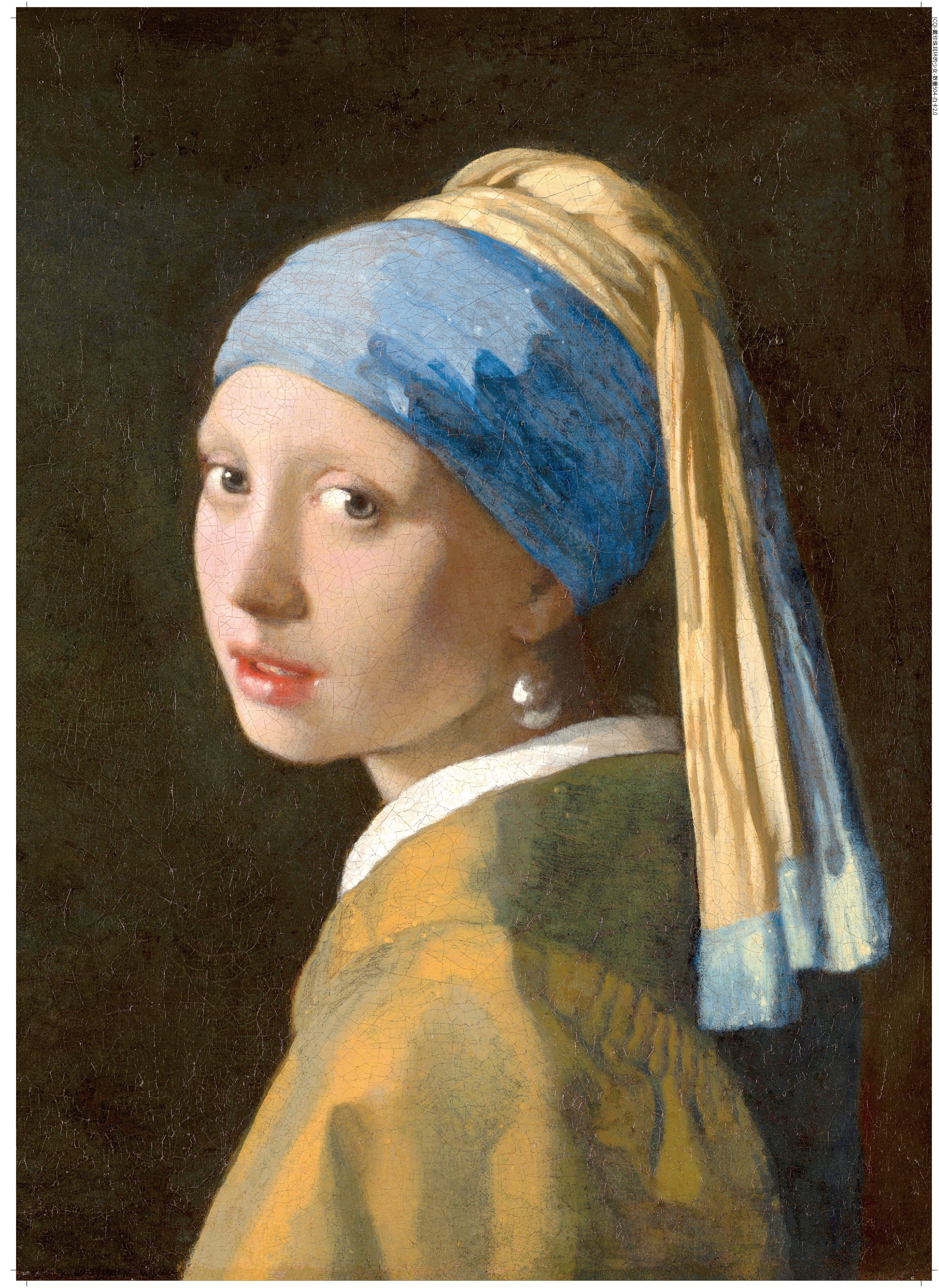 Girl with a Pearl Earring