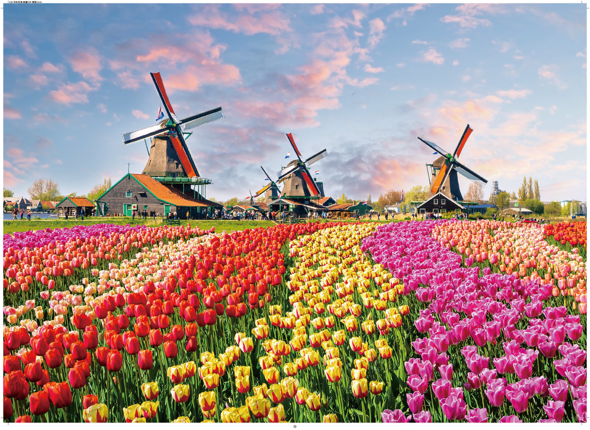 Tulip fields and windmills