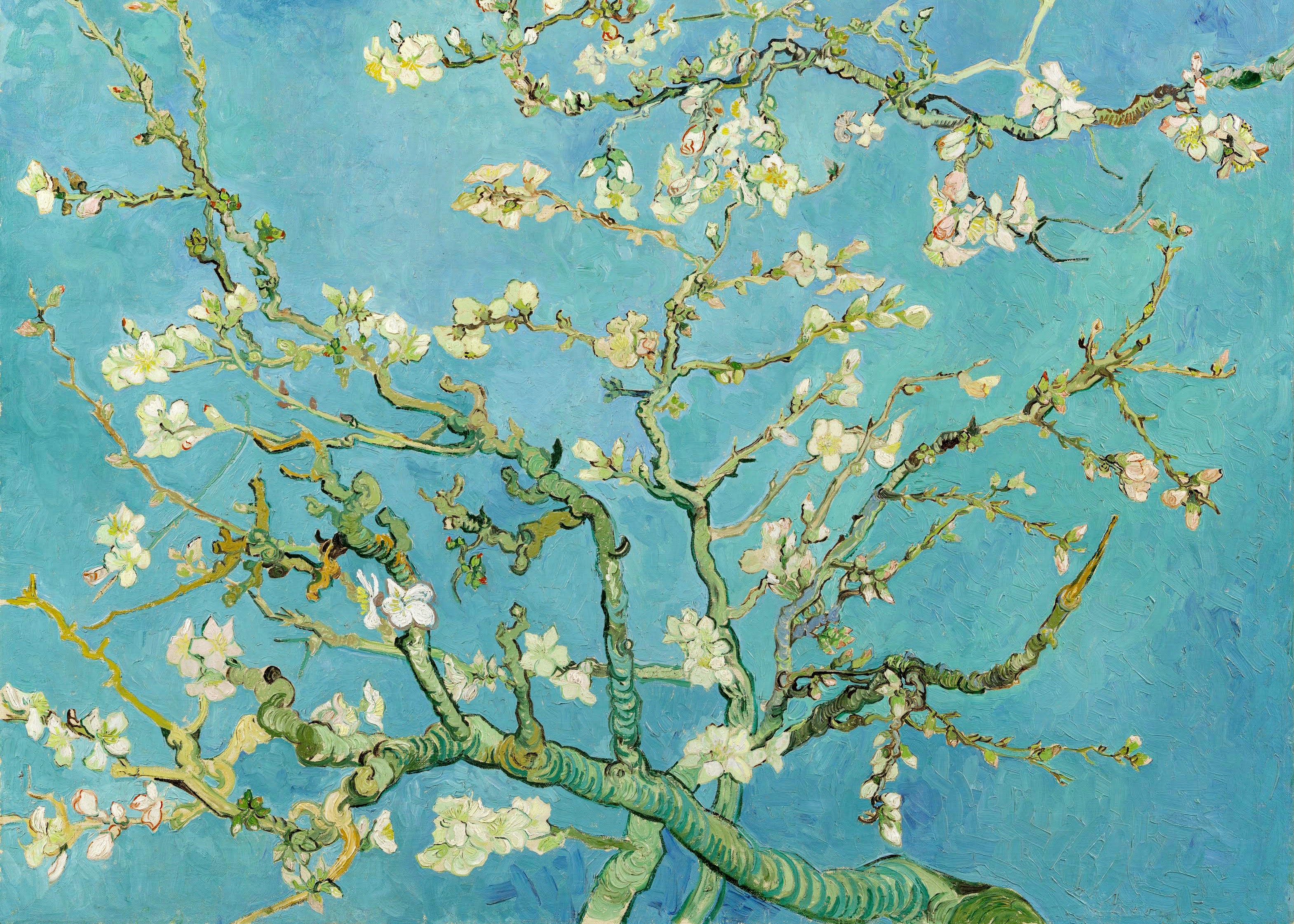 Almond Blossoms