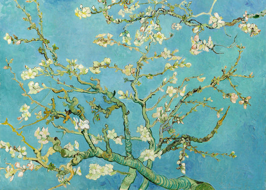 Almond Blossoms